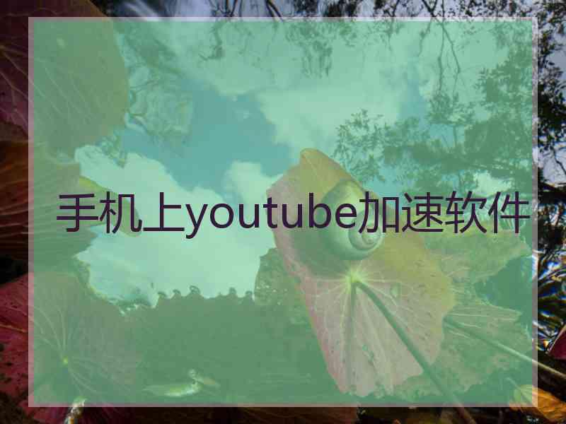 手机上youtube加速软件