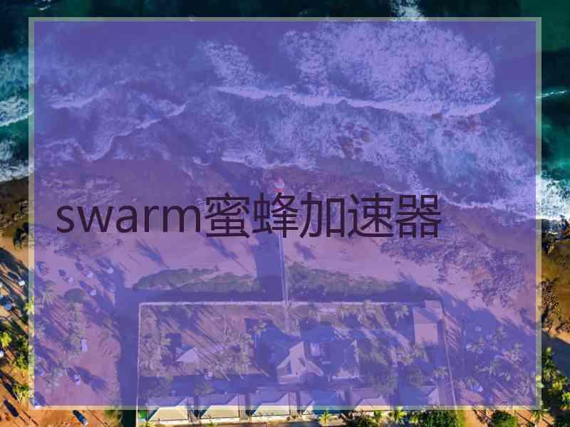 swarm蜜蜂加速器