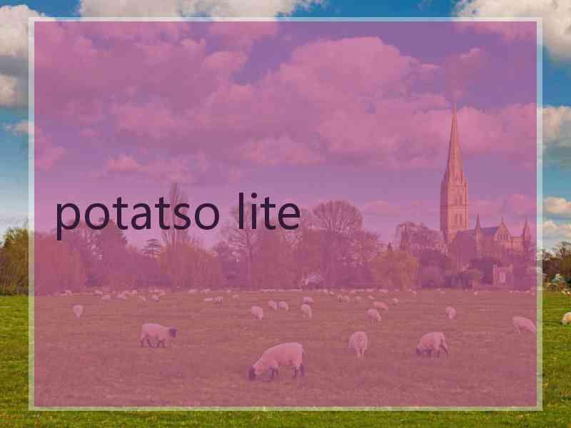 potatso lite