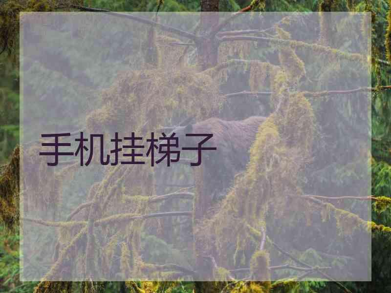 手机挂梯子