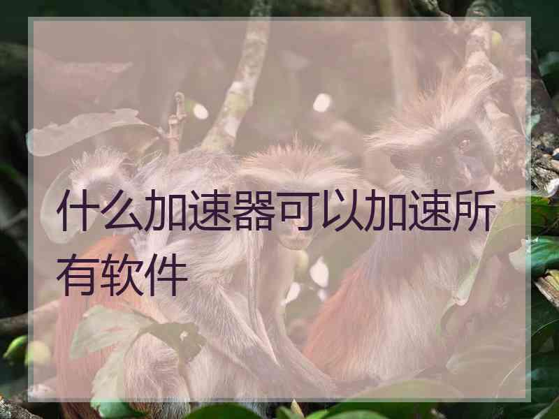 什么加速器可以加速所有软件