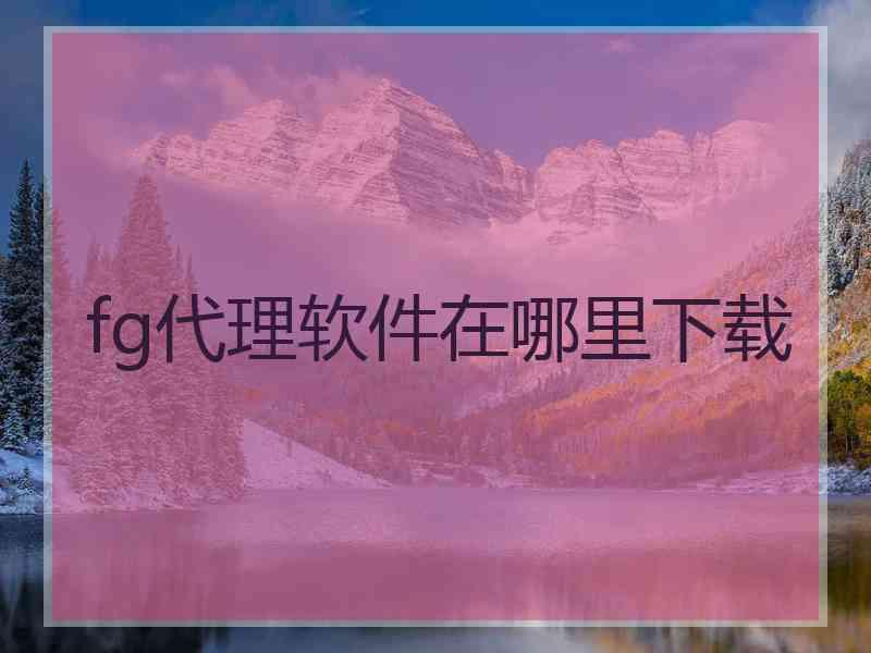 fg代理软件在哪里下载