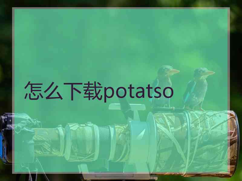 怎么下载potatso