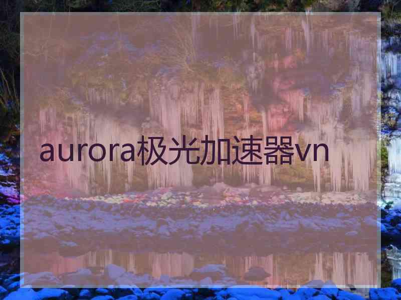 aurora极光加速器vn