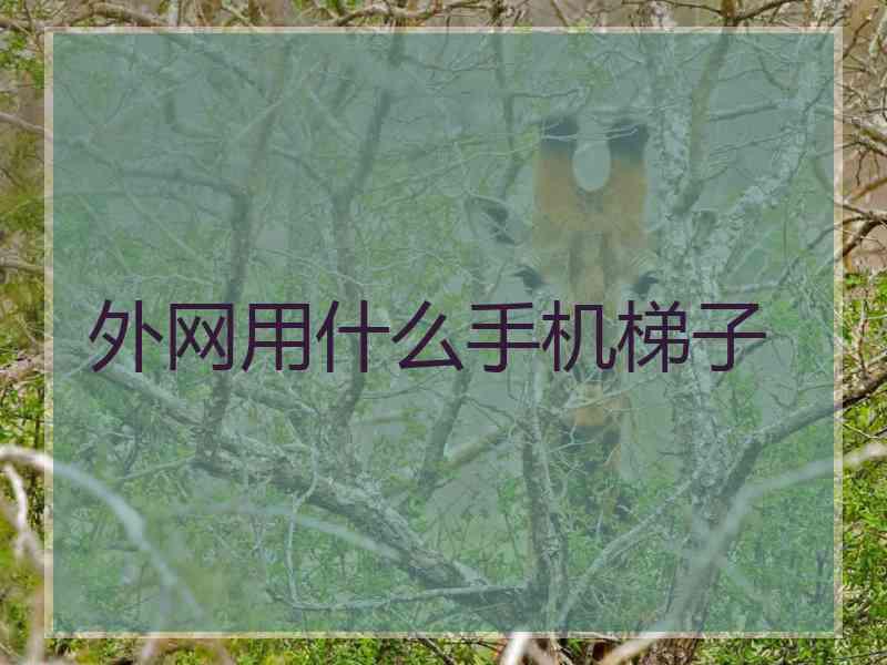 外网用什么手机梯子