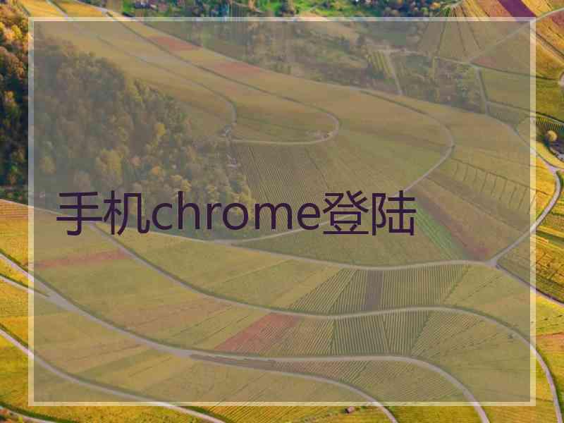 手机chrome登陆