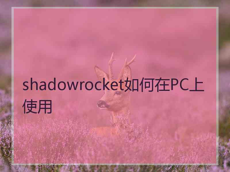 shadowrocket如何在PC上使用