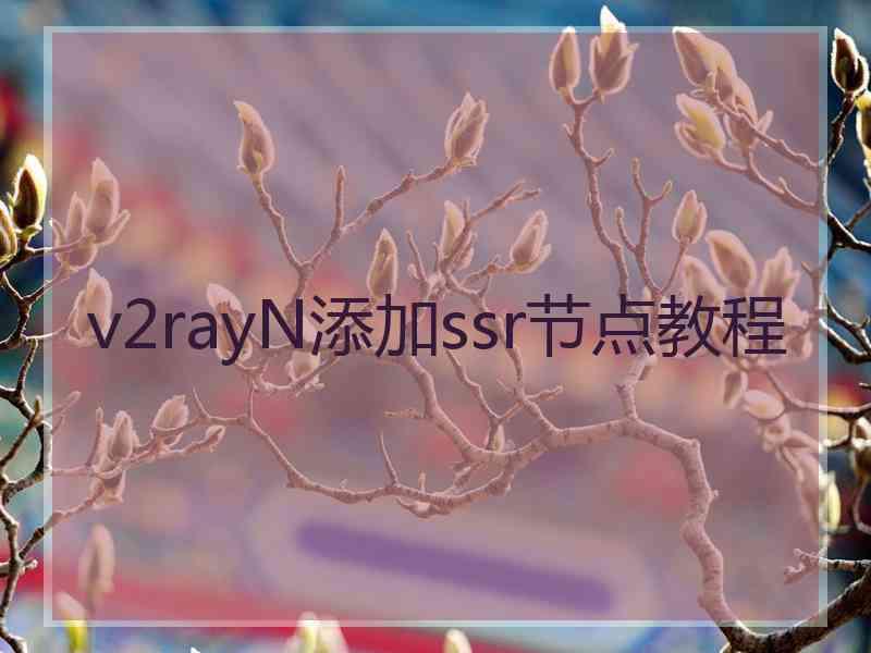 v2rayN添加ssr节点教程