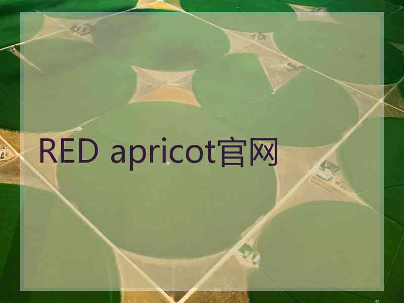 RED apricot官网