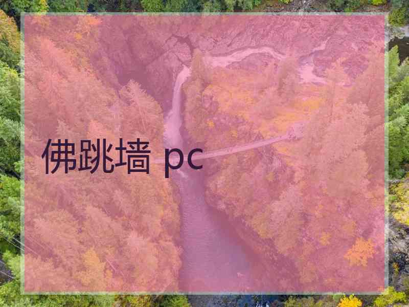 佛跳墙 pc