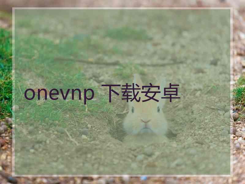 onevnp 下载安卓