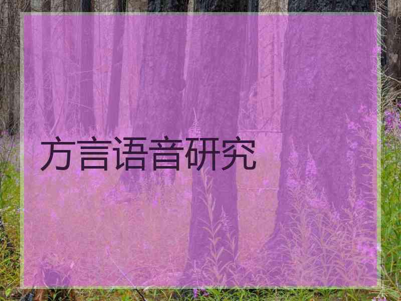 方言语音研究
