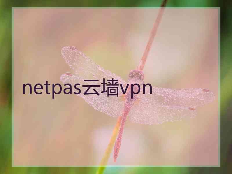 netpas云墙vpn