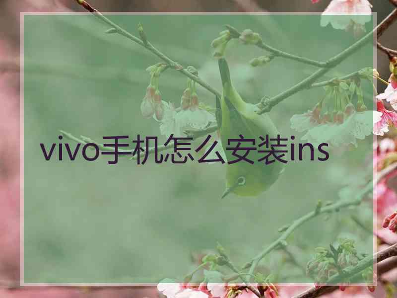 vivo手机怎么安装ins