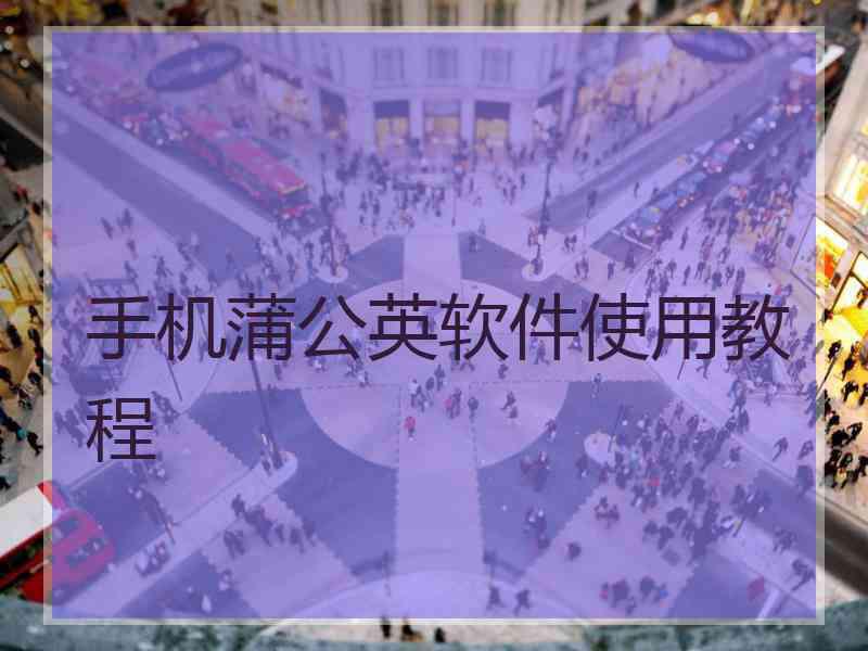 手机蒲公英软件使用教程