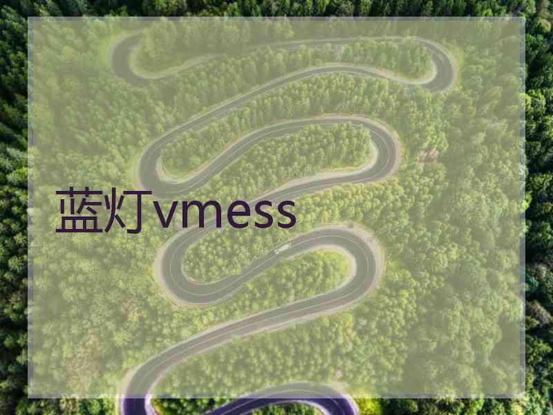 蓝灯vmess