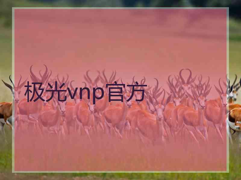 极光vnp官方