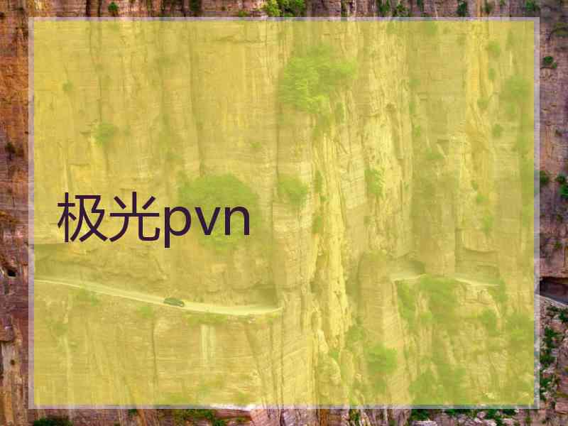 极光pvn