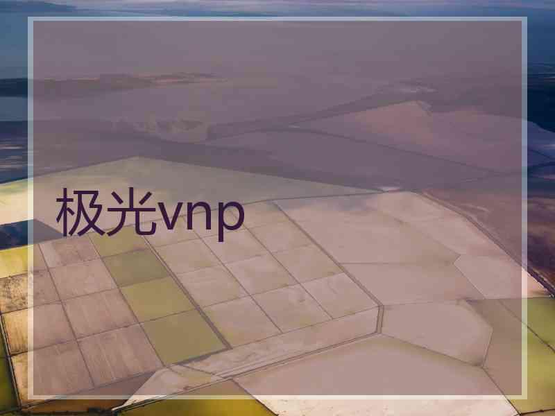 极光vnp