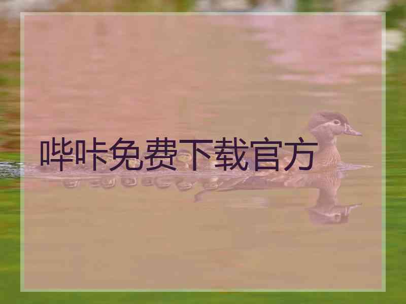 哔咔免费下载官方