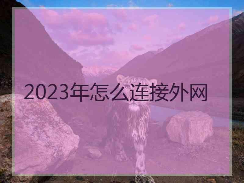 2023年怎么连接外网