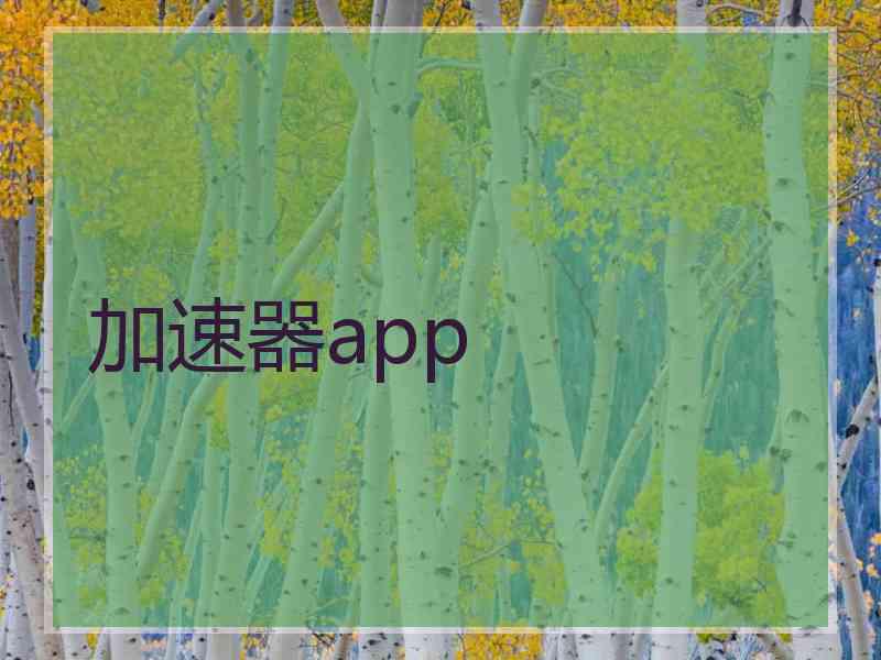 加速器app