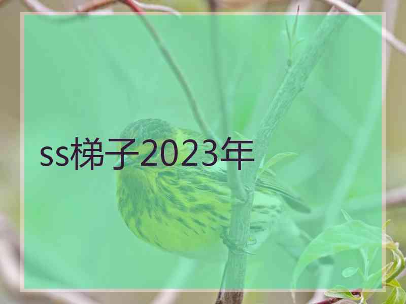 ss梯子2023年