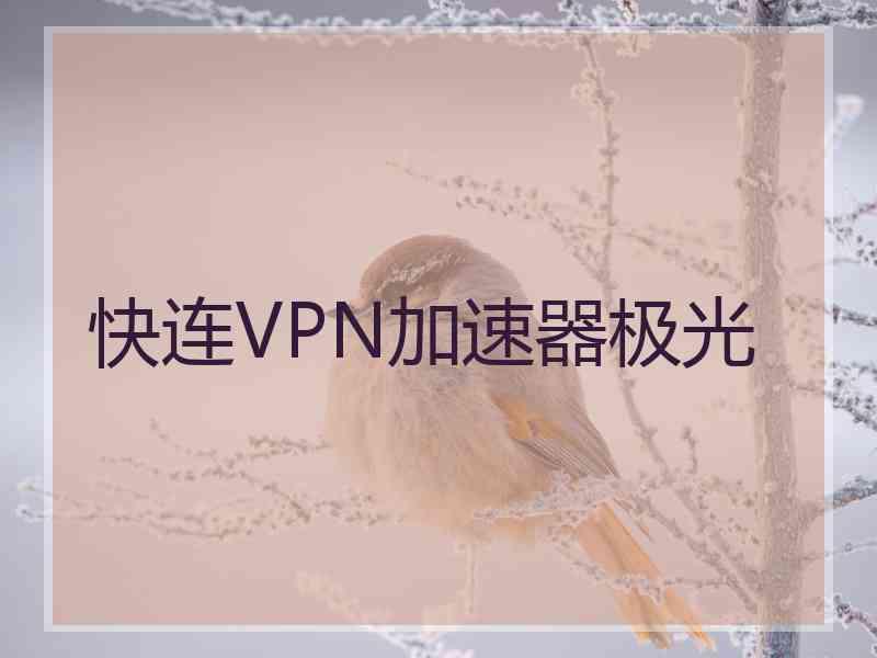 快连VPN加速器极光