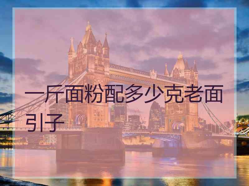 一斤面粉配多少克老面引子 一斤面粉配多少克老面引子
