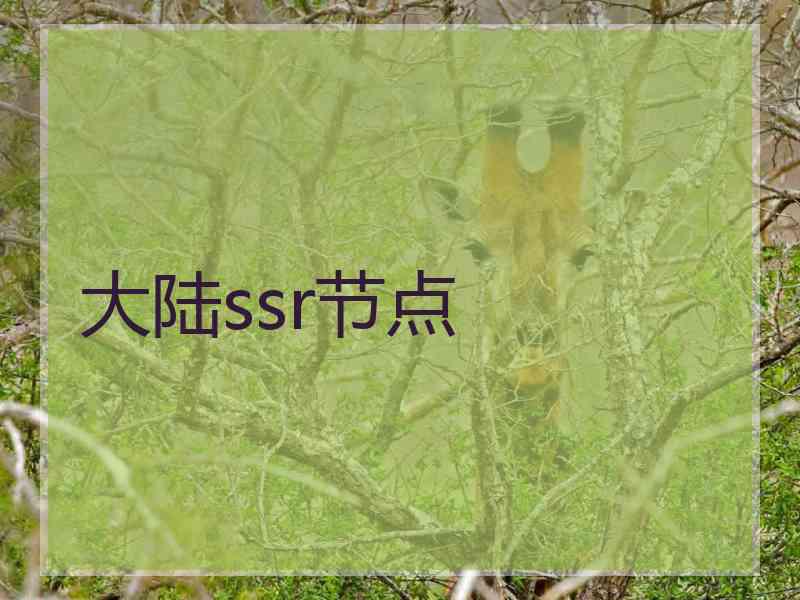 大陆ssr节点