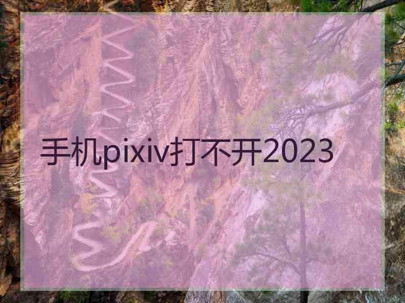 手机pixiv打不开2023