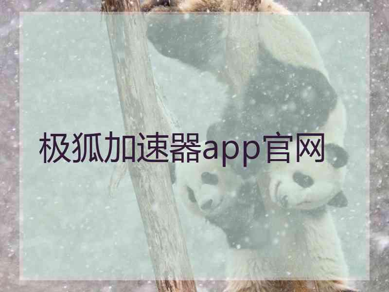 极狐加速器app官网