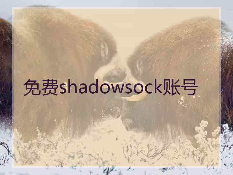 免费shadowsock账号