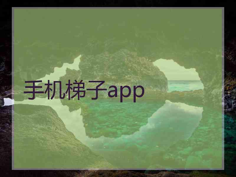 手机梯子app