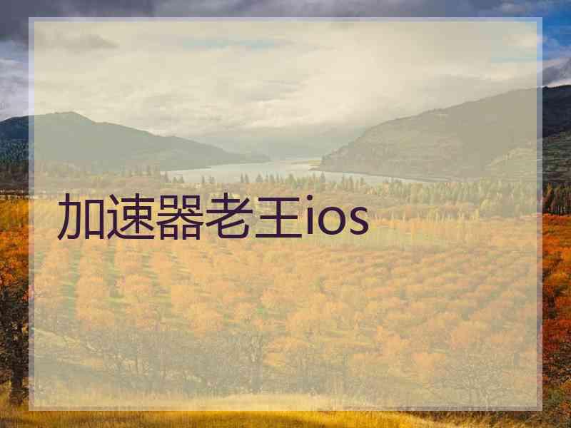 加速器老王ios