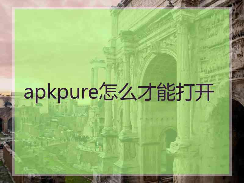 apkpure怎么才能打开