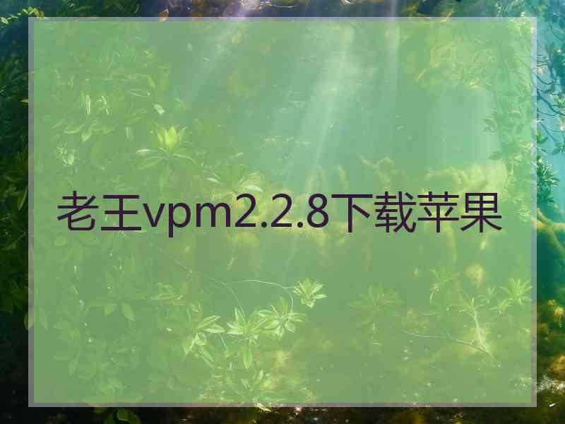 老王vpm2.2.8下载苹果