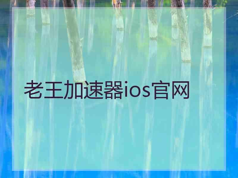 老王加速器ios官网