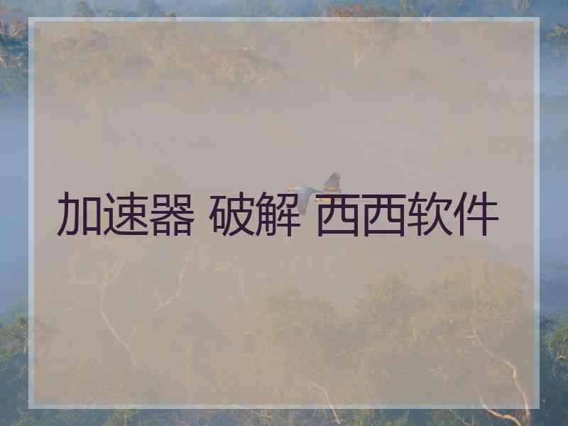 加速器 破解 西西软件