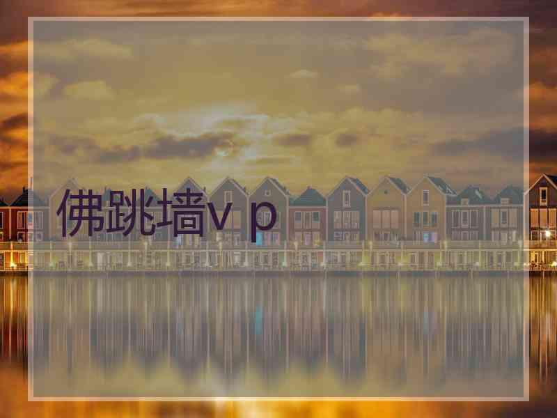 佛跳墙v p