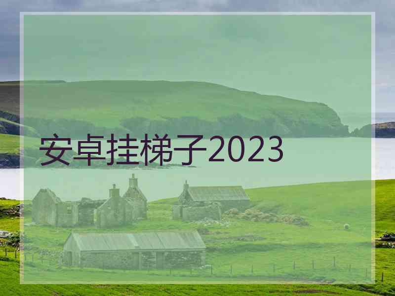 安卓挂梯子2023