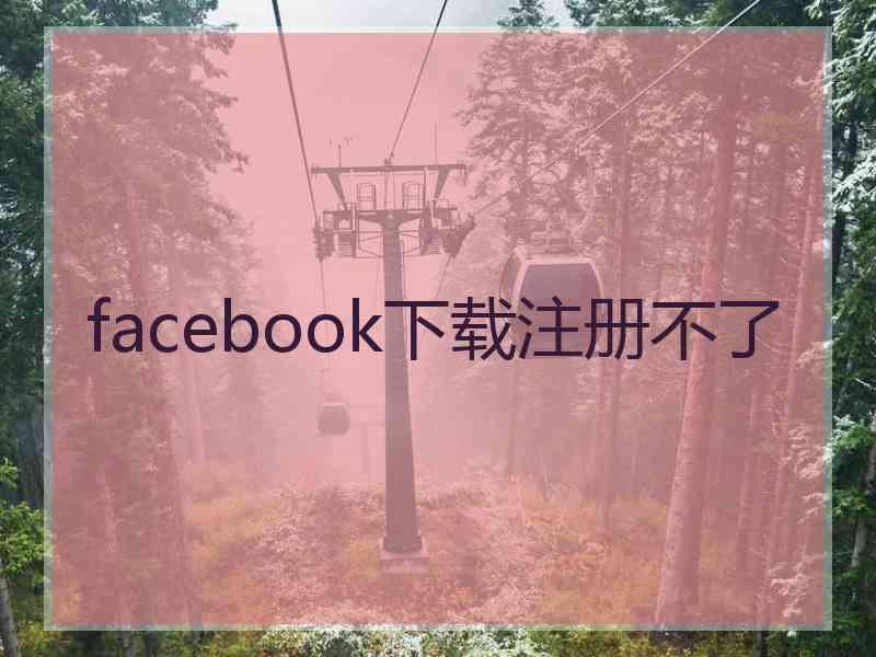 facebook下载注册不了