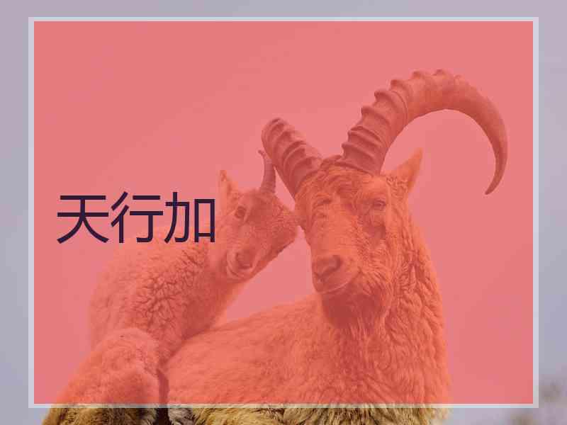 天行加