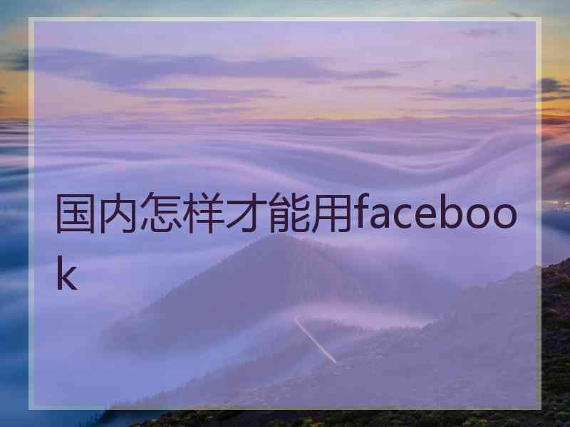 国内怎样才能用facebook