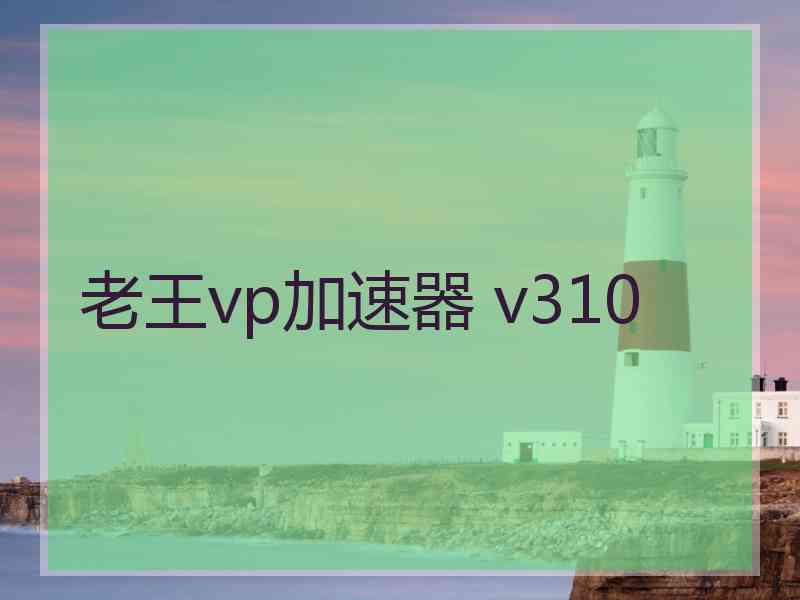 老王vp加速器 v310