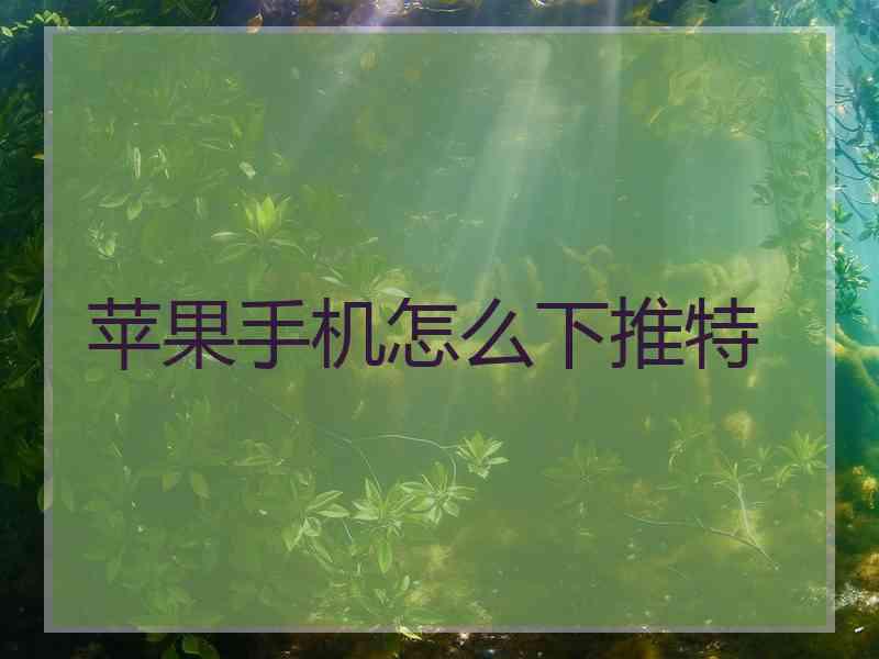 苹果手机怎么下推特