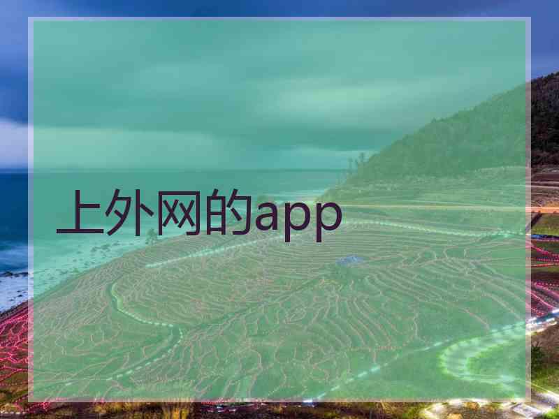 上外网的app