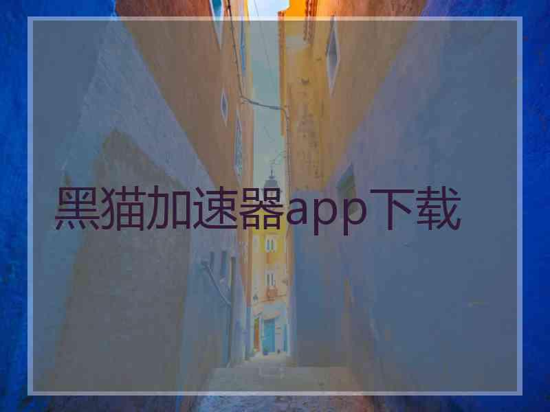 黑猫加速器app下载