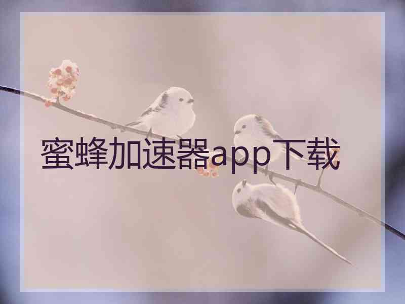 蜜蜂加速器app下载