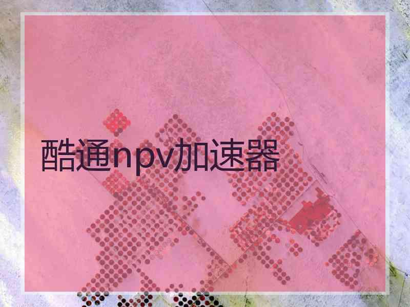 酷通npv加速器